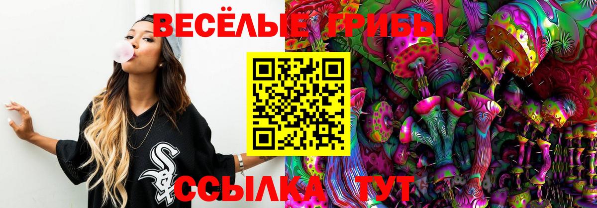 Галлюциногенные грибы Psilocybine cubensis Каменск-Уральский